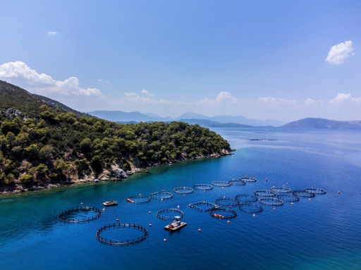 L'aquaculture dans le monde dépasse pour la première fois la pêche, selon la FAO