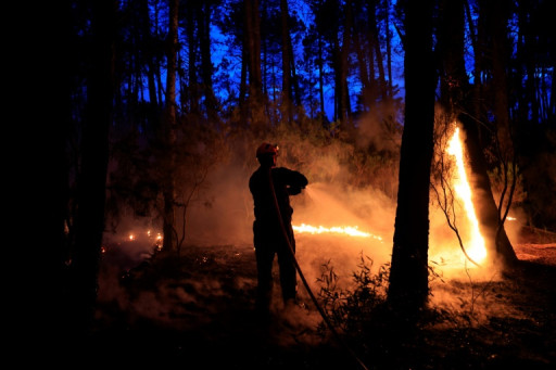 Premier gros incendie de l'année dans le sud de la France: 600 hectares brûlés