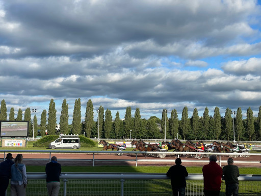 Le bien-être équin s'invite aux courses de trot à Amiens