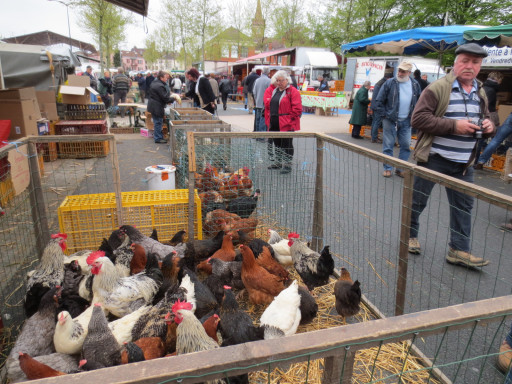 Le marché de Louhans dans le top 10 de "Votre plus beau marché de France"