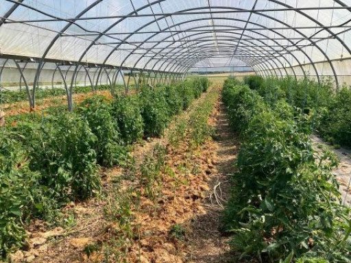 L’espace test maraichage bio va monter en puissance