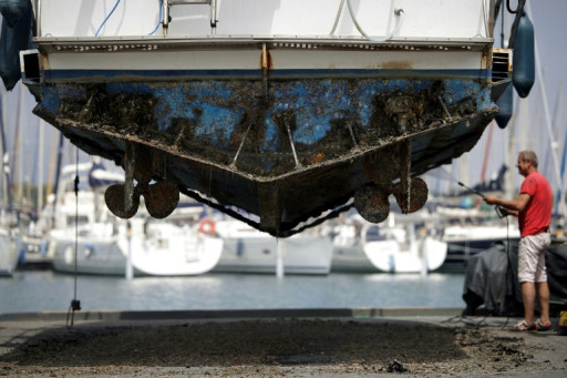 Recyclage de l'eau et désalinisation: un port de l'Aude s'adapte à la sécheresse