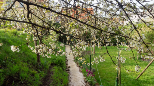 Les inscriptions pour le concours des jardins et balcons sont lancées
