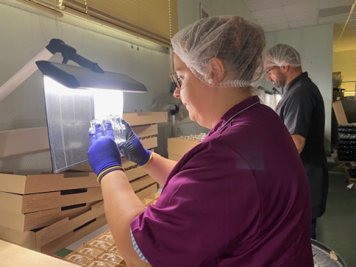 Vieux-Rouen-sur-Bresle : Innoverre cherche des trieurs