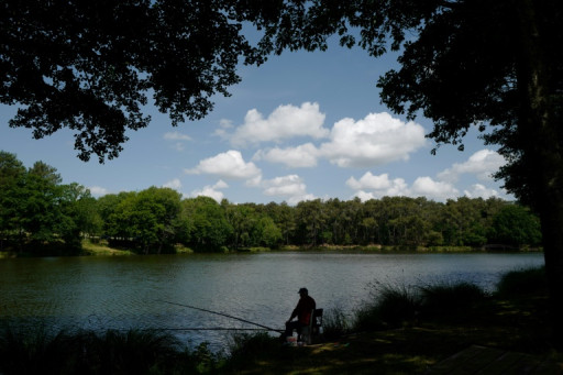 Une plateforme de location d'étangs pour les mordus de poisson