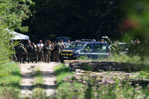 Lina: fin des recherches dans une forêt de Haute-Saône
