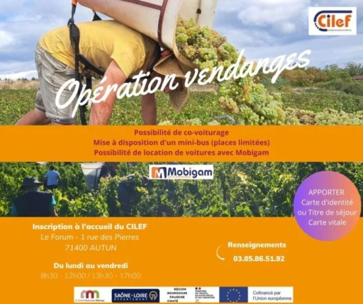 Les inscriptions sont ouvertes pour l’opération vendanges 2024