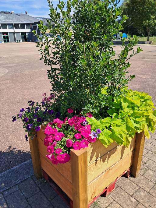 Végétalisation temporaire : 25 bacs déployés pour l'été à Verdun