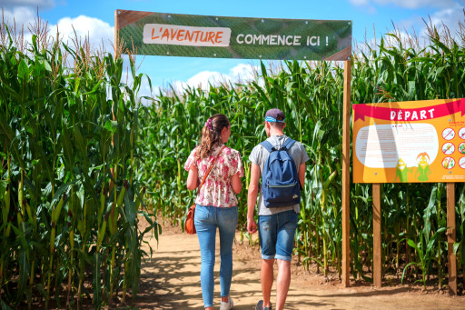 Près d’Amiens, le succès du Pop Corn Labyrinthe ne se dément pas
