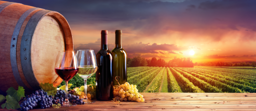 Dijon : le 18e "Salon des Vignerons Indépendants de Bourgogne et du Jura" bientôt au Parc des Expositions