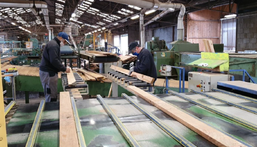 L’entreprise Ducerf participe à la confection des 1 500 chaises de Notre-Dame de Paris