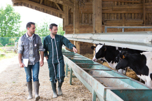 Les agriculteurs français lancent un nouvel appel à l’aide