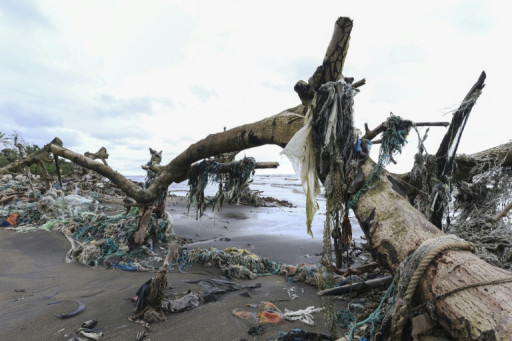 Le plastique et ses pollutions en chiffres