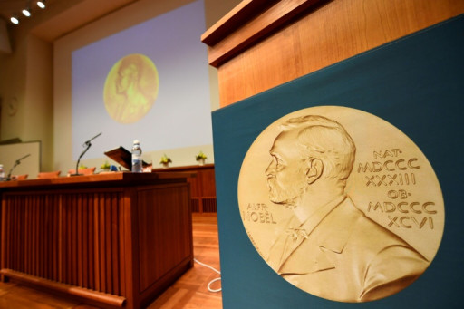 Nobel de médecine: les Américains Ambros et Ruvkun distingués pour une avancée dans la régulation des gènes
