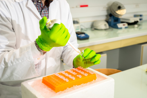 La recherche voit grand à l’université de Bourgogne