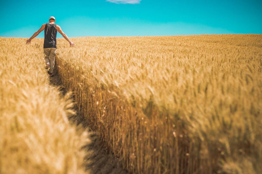 La Quinzaine de la transmission-reprise dans l’agriculture dès le 15 novembre