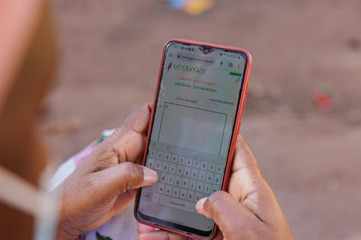 Le Mali, le Niger et le Burkina lèvent les frais de "roaming"