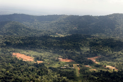 La non-prolongation du projet "Montagne d'or" en Guyane confirmée par la justice administrative