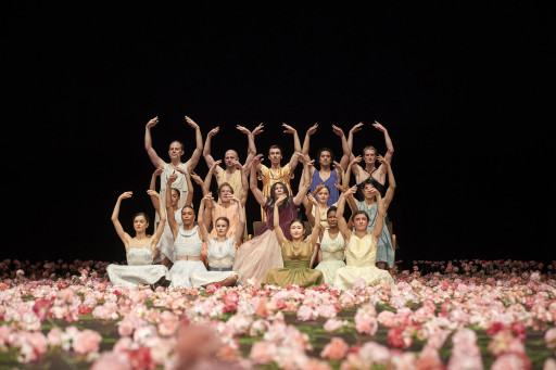 «Nelken» à l'Opéra de Lille
