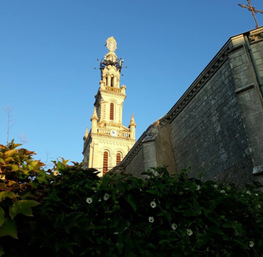 Les médailles du Saintois, vitrine d’un territoire