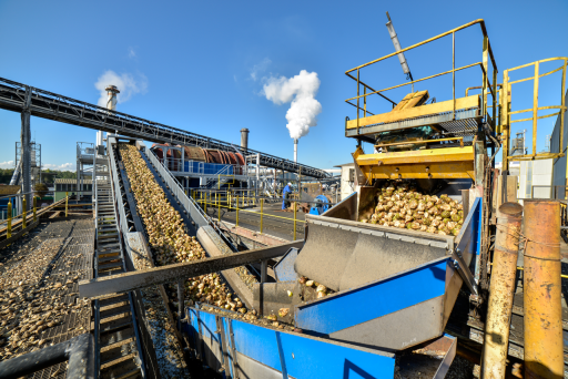 La sucrerie Tereos de Lillers, un siècle d’histoire