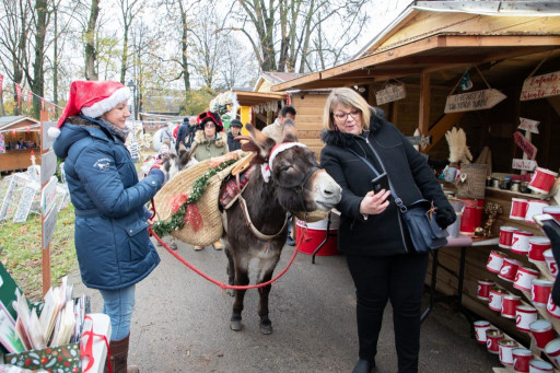 Le Village de Noël solidaire au pied de la cathédrale jusqu'au 8 décembre