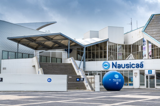 Nausicaa a accueilli près d'un million de visiteurs en 2024, un record depuis 1991