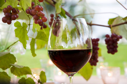 Beaune, La Chapelle de l’Oratoire accueille le 2e Salon des Vins Japonais