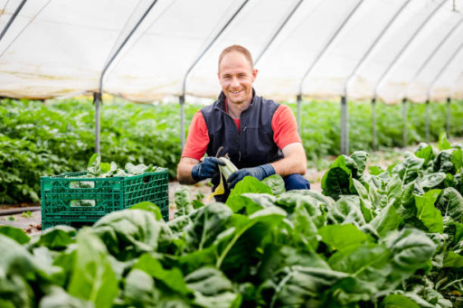 L’Appel à Manifestation d’Intérêt (AMI) facilitateur de sourcing local est lancé