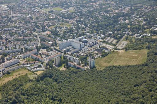 Quartiers prioritaires thionvillois : ancrer une cohérence d’actions