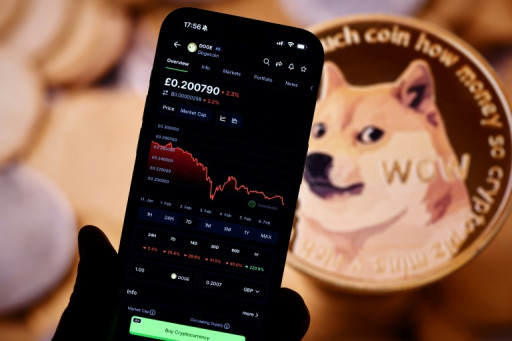 "Comme au loto": au-delà du bitcoin, des investissements crypto ultra-risqués