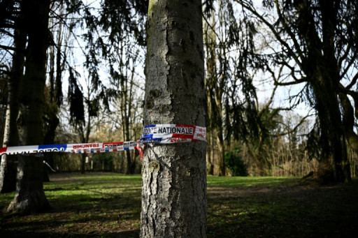 Collégienne retrouvée morte poignardée en Essonne: le couple en garde à vue relâché