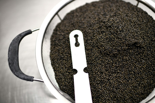 Aquaculture: le caviar d'Aquitaine obtient de l'UE sa certification IGP