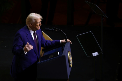 Tech, auto, médicaments: qui payerait les droits de douanes de Donald Trump?
