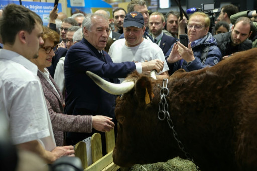 Au Salon de l'agriculture, Bayrou reconnaît que "tous les problèmes ne sont pas résolus"