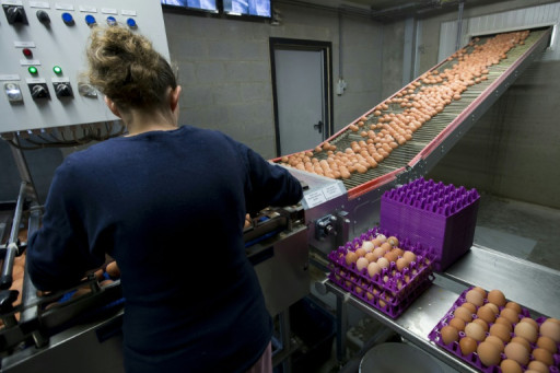 Cheffes d'entreprises : pas de parité avant 2075, estime la Banque de France