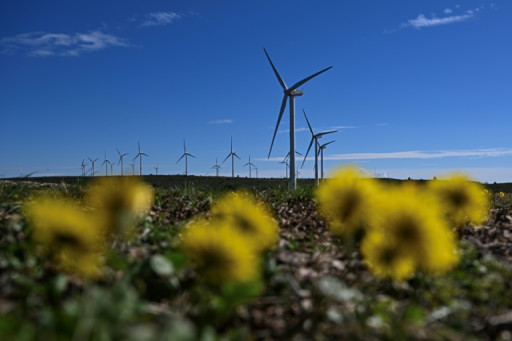 Hérault: des éoliennes sur le banc des accusés pour la mort d'oiseaux protégés