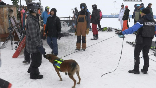Dans les Alpes, la drogue aussi monte en station
