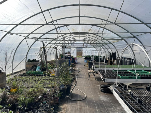 Projet structurant à Verdun : l’espace-test de maraîchage bio en plein essor