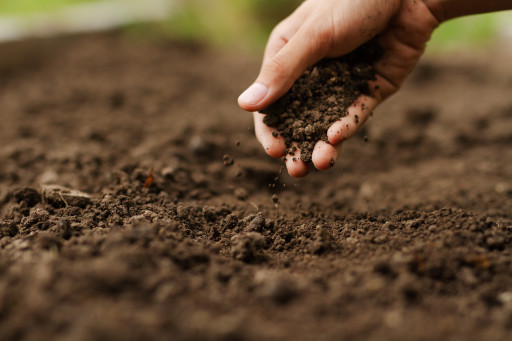 La réduction de l’artificialisation des sols revue et corrigée par le Sénat