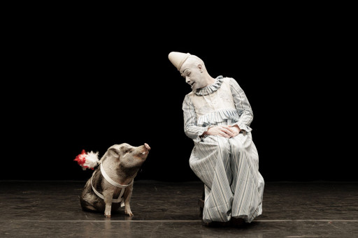 «Le Roi se meurt» à Compiègne