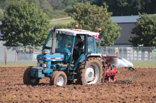 Terre de Jim de retour à Metz