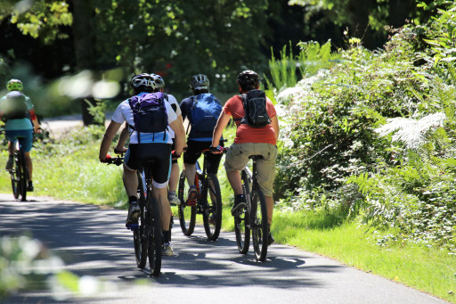 La Vélo Gourmande : une exploration savoureuse du vignoble mâconnais