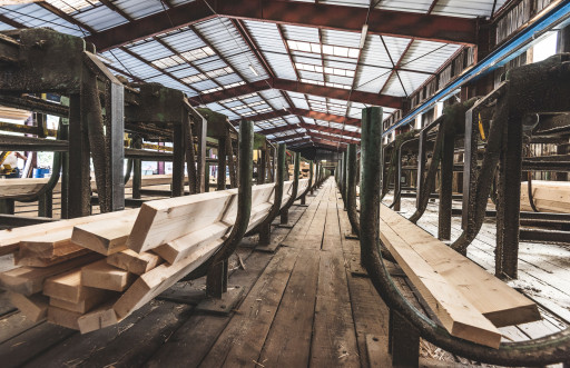 Lemaire, tradition et innovation