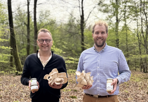 Champi’Crécy : l’excellence du champignon à Crécy-en-Ponthieu