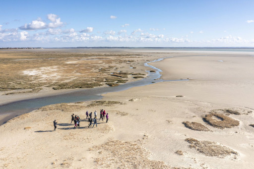 Le festival de l’Oiseau et de la nature en baie de Somme vit aussi avec ses mécènes
