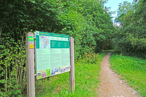 La Forêt d’exception du Grand Verdun mise en valeur par de nouveaux sentiers de randonnée