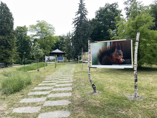 Parc Japiot : des actions concrètes pour la nature et le cadre de vie à Verdun