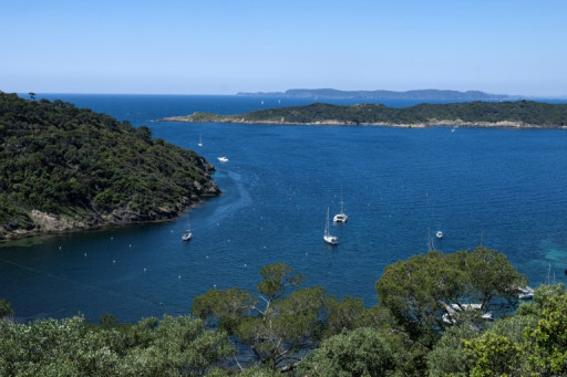 A Port-Cros, la plus vieille aire marine protégée d'Europe "montre le futur"