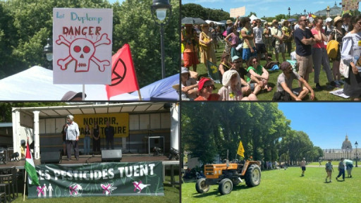 Agriculture: compromis trouvé au Parlement sur la loi Duplomb, avec le retour décrié d'un pesticide